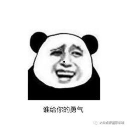 我懵了老板们咋又菜又爱装,业务能力不足与虚伪做派