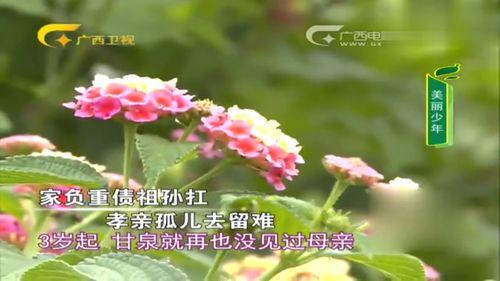 有妈的孩子像棵草